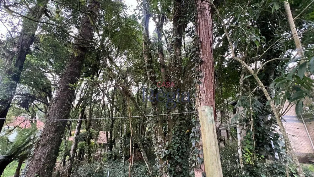 Terreno, 640 m² - Foto 7
