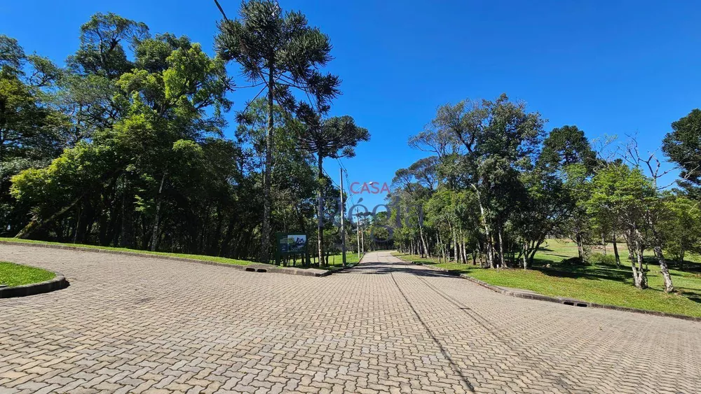 Loteamento e Condomínio à venda, 395M2 - Foto 4