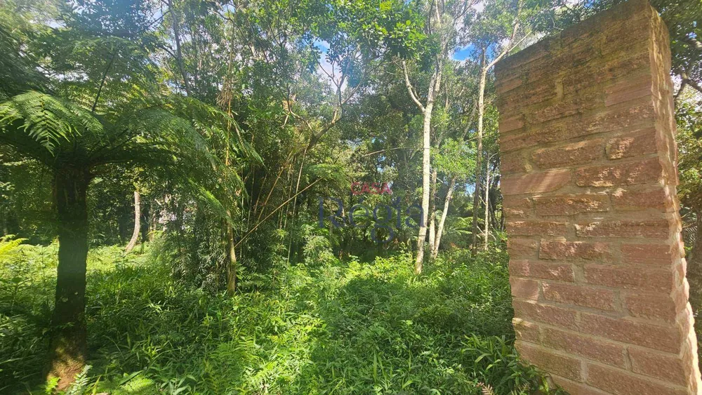 Terreno, 2252 m² - Foto 6