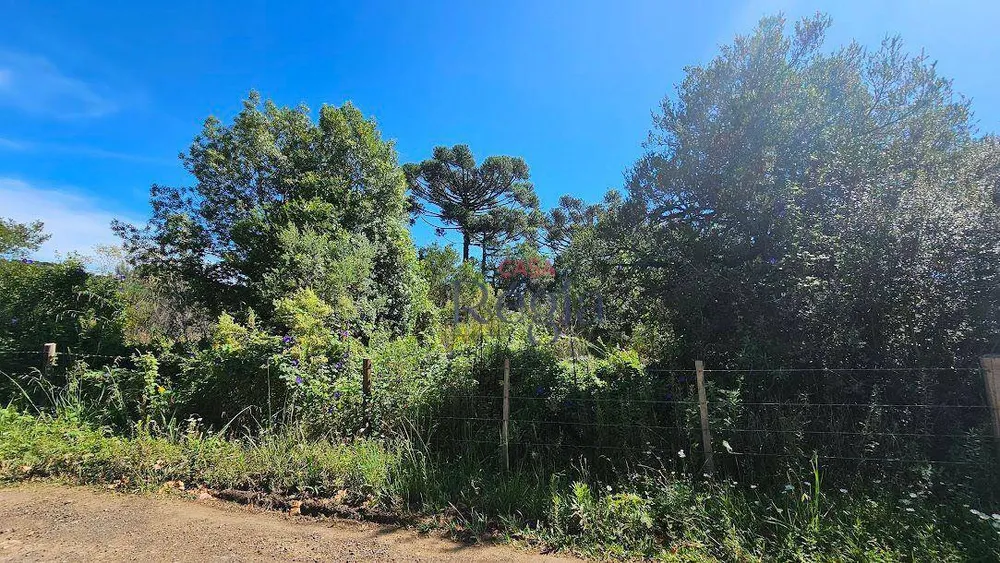 Terreno, 1286 m² - Foto 3