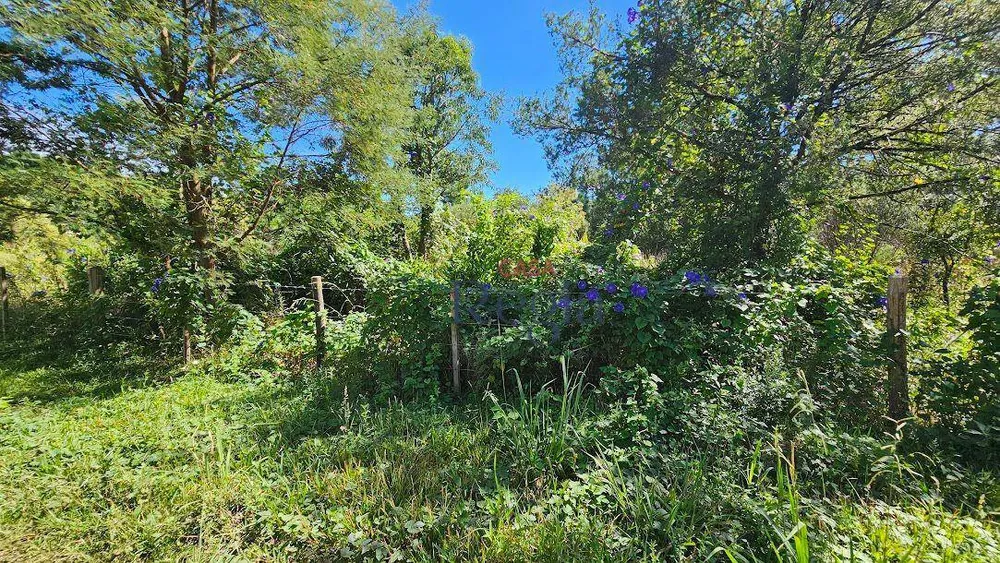 Terreno, 1286 m² - Foto 5