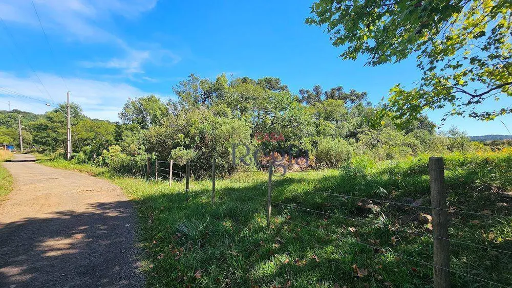 Terreno, 1286 m² - Foto 2