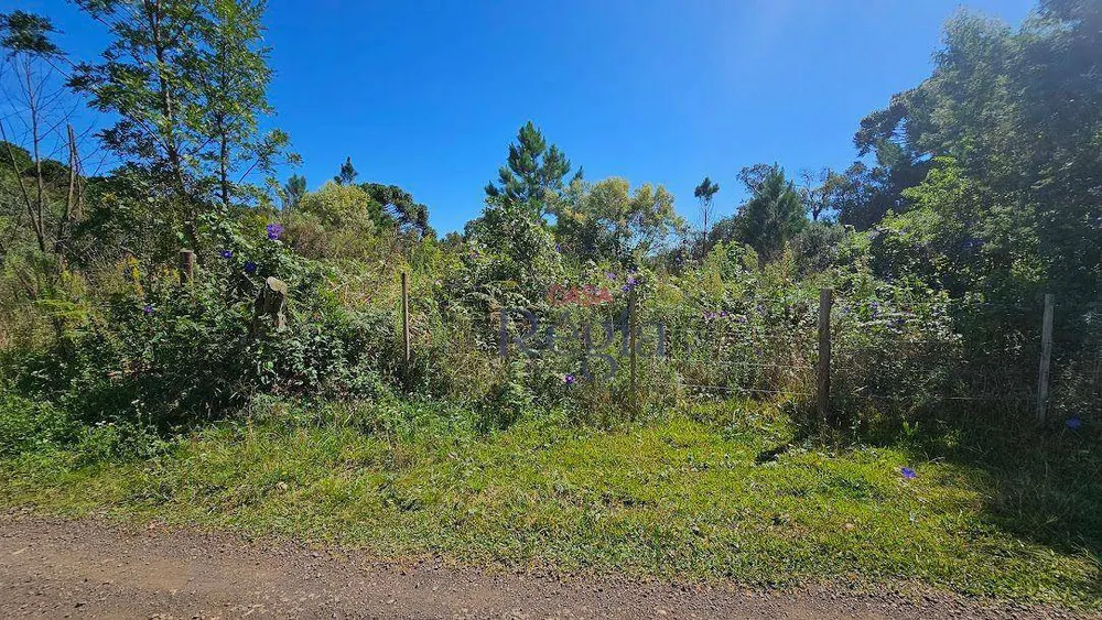 Terreno, 1286 m² - Foto 9