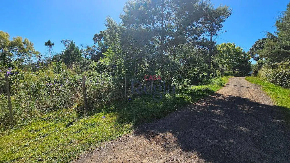 Terreno, 1286 m² - Foto 8