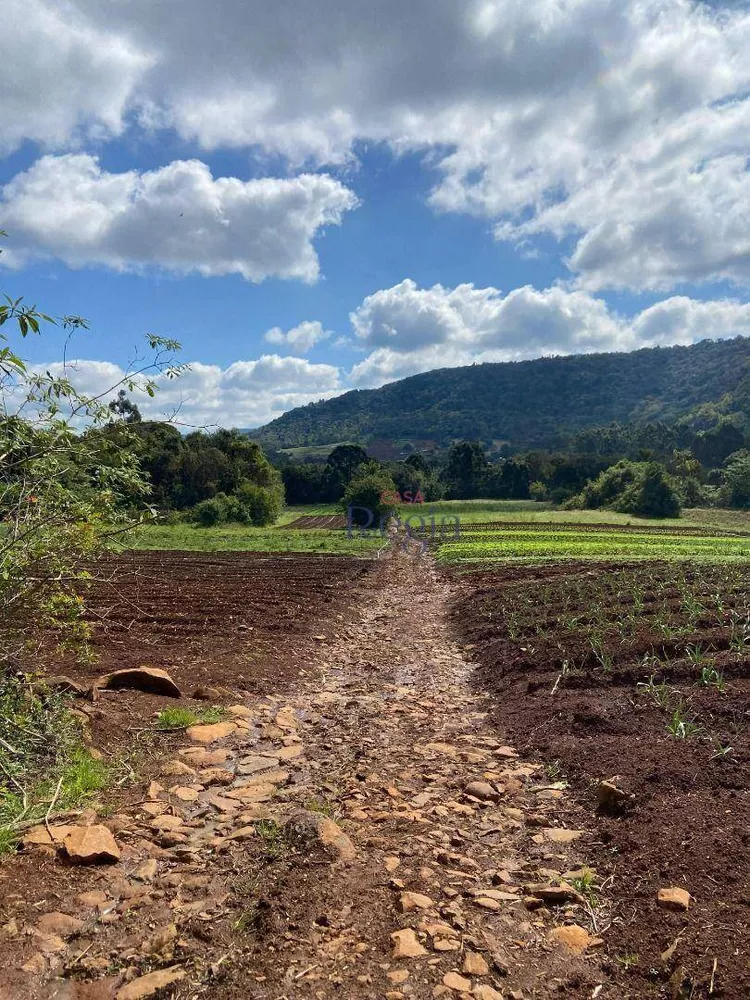 Sítio à venda, 58000M2 - Foto 3