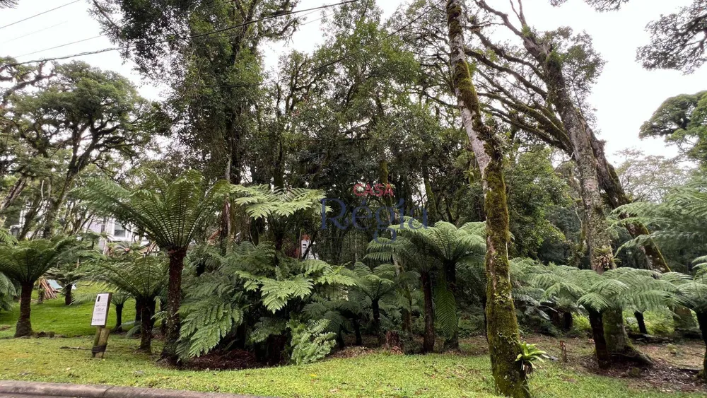 Loteamento e Condomínio, 1096 m² - Foto 3