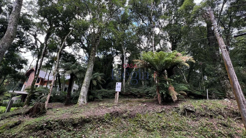 Loteamento e Condomínio, 1096 m² - Foto 1