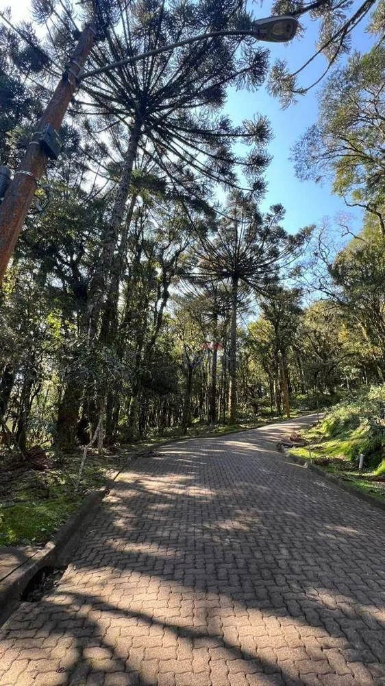 Loteamento e Condomínio à venda, 952M2 - Foto 2