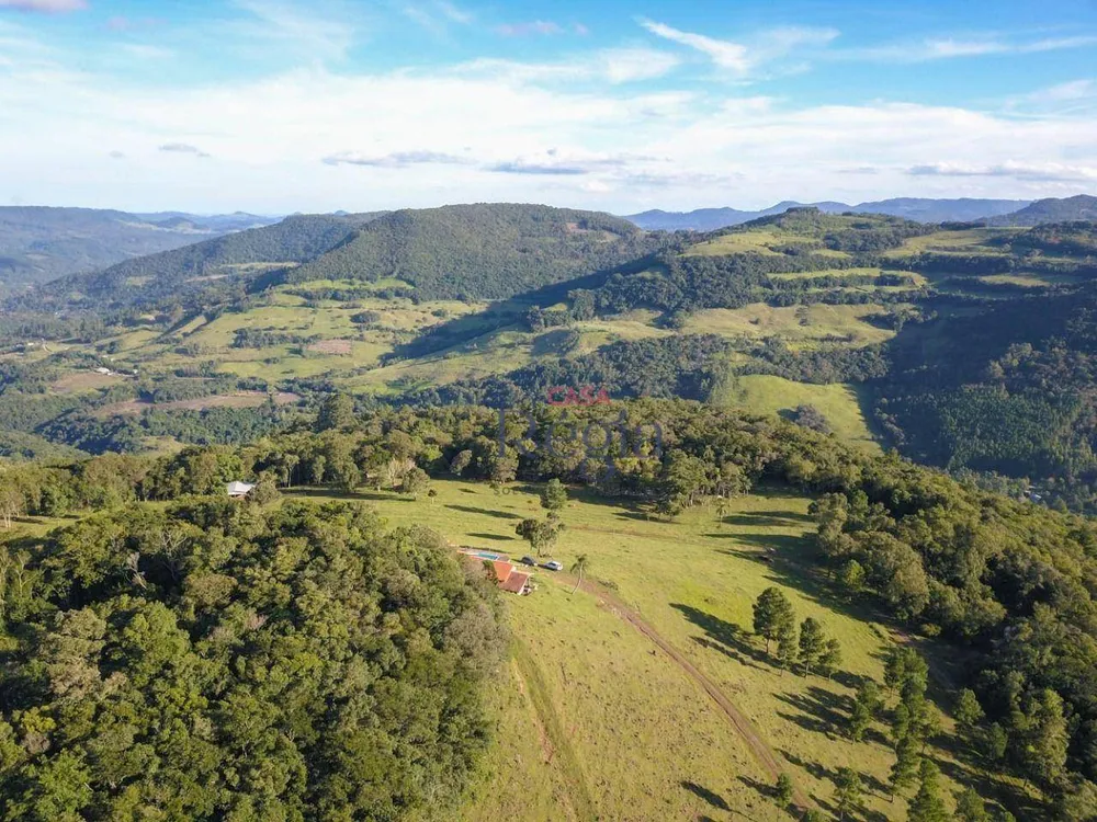 Sítio, 3 quartos, 31 hectares - Foto 1