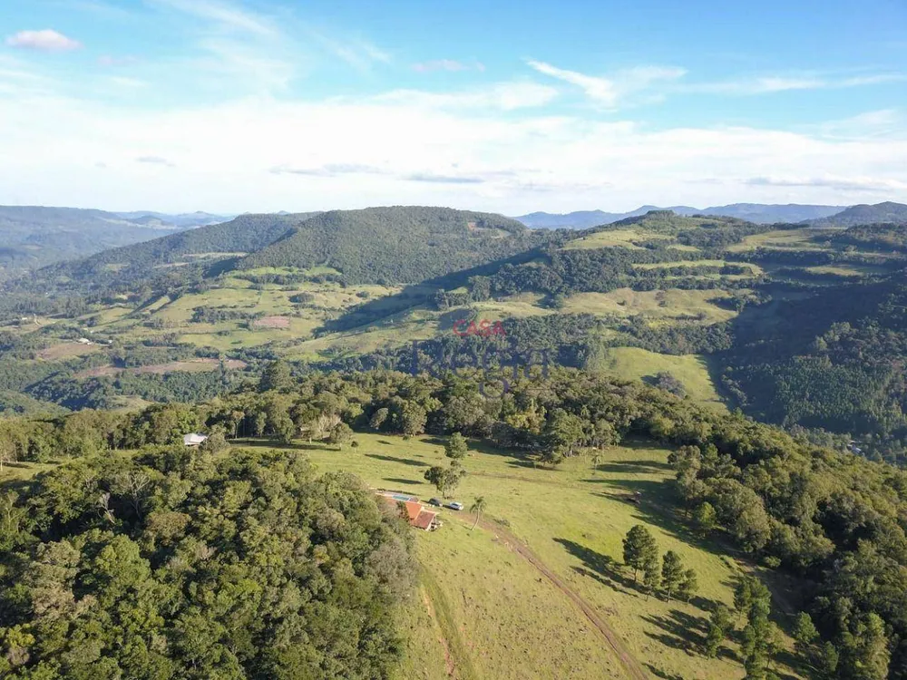 Sítio, 3 quartos, 31 hectares - Foto 6