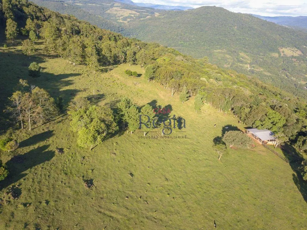 Sítio, 3 quartos, 31 hectares - Foto 10