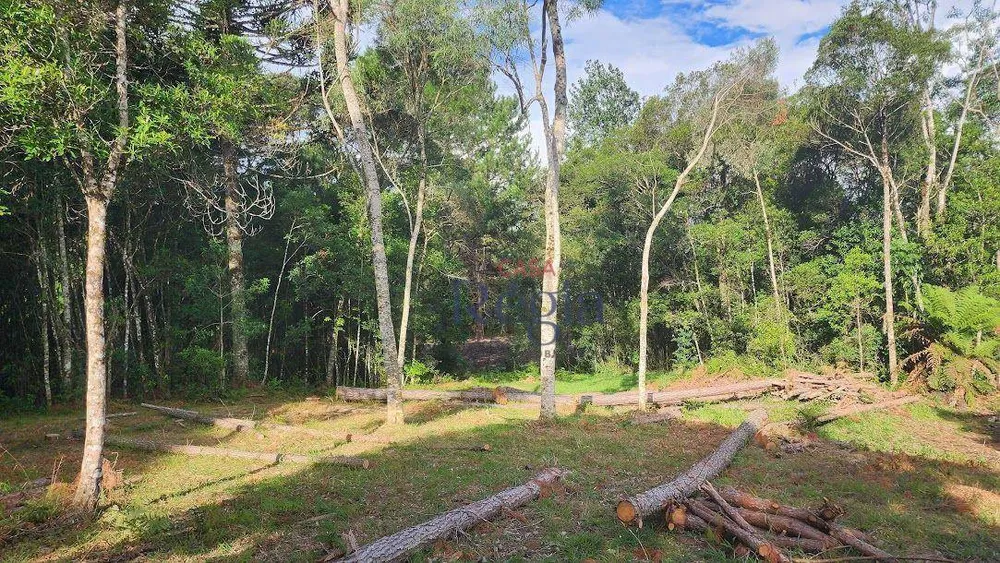 Loteamento e Condomínio, 800 m² - Foto 6