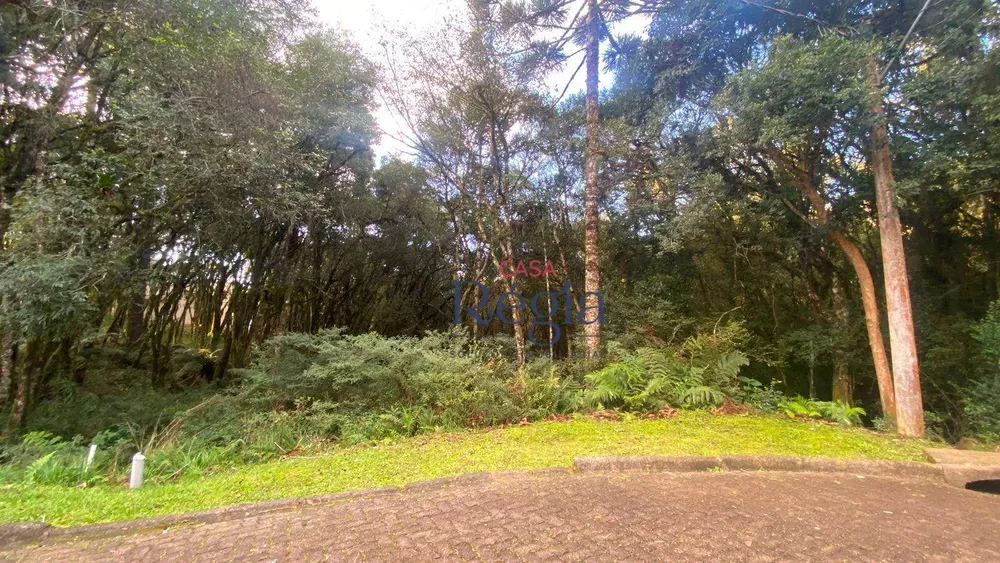 Loteamento e Condomínio, 744 m² - Foto 5