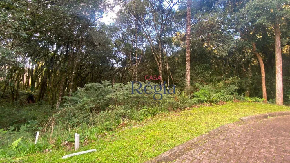 Loteamento e Condomínio, 744 m² - Foto 3
