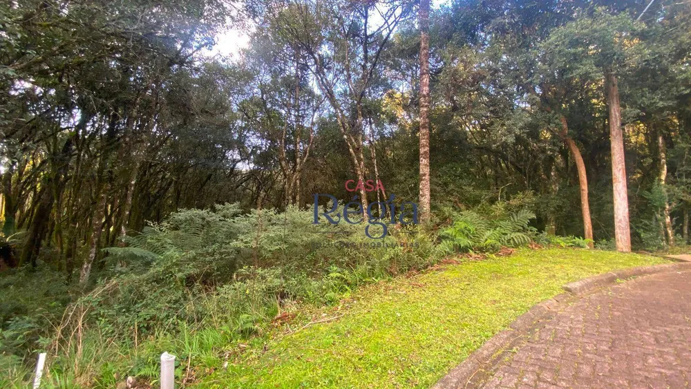 Loteamento e Condomínio, 744 m² - Foto 4