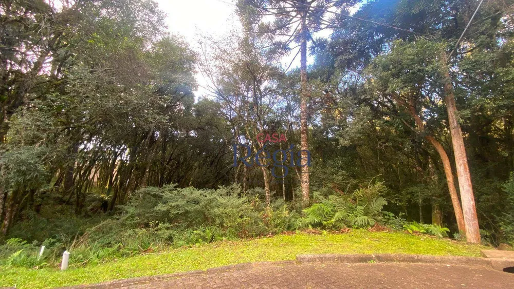 Loteamento e Condomínio, 744 m² - Foto 2