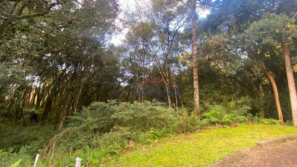 Loteamento e Condomínio, 744 m² - Foto 7