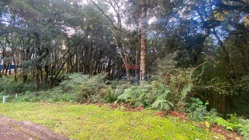 Loteamento e Condomínio, 744 m² - Foto 6