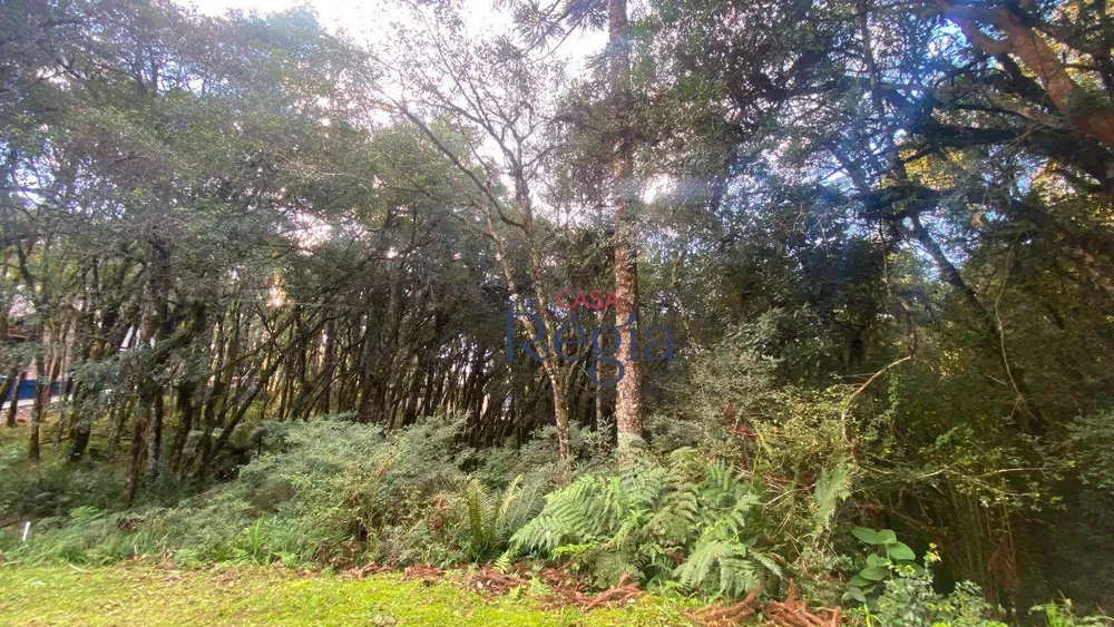 Loteamento e Condomínio, 744 m² - Foto 1