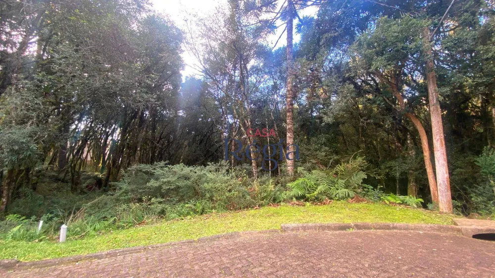 Loteamento e Condomínio, 744 m² - Foto 8
