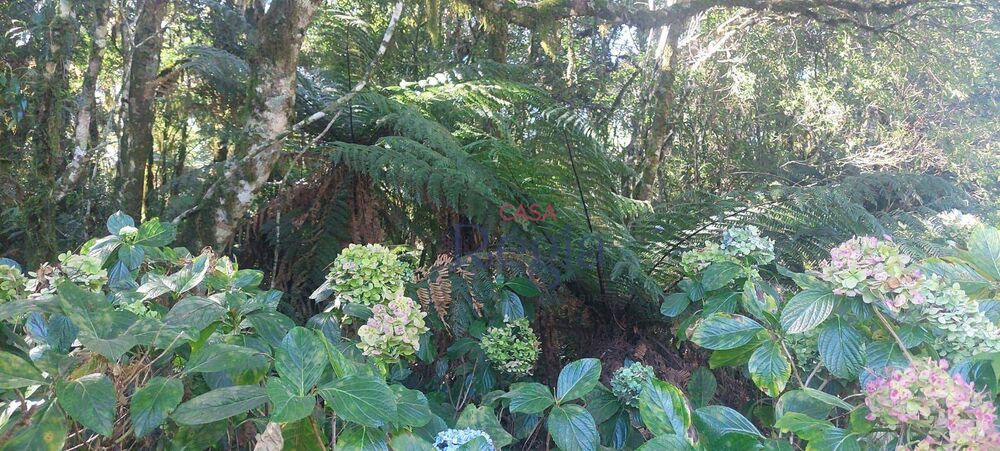 Loteamento e Condomínio, 600 m² - Foto 3