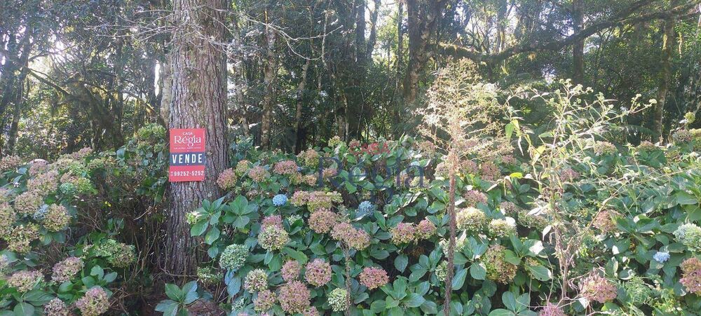 Loteamento e Condomínio, 600 m² - Foto 1