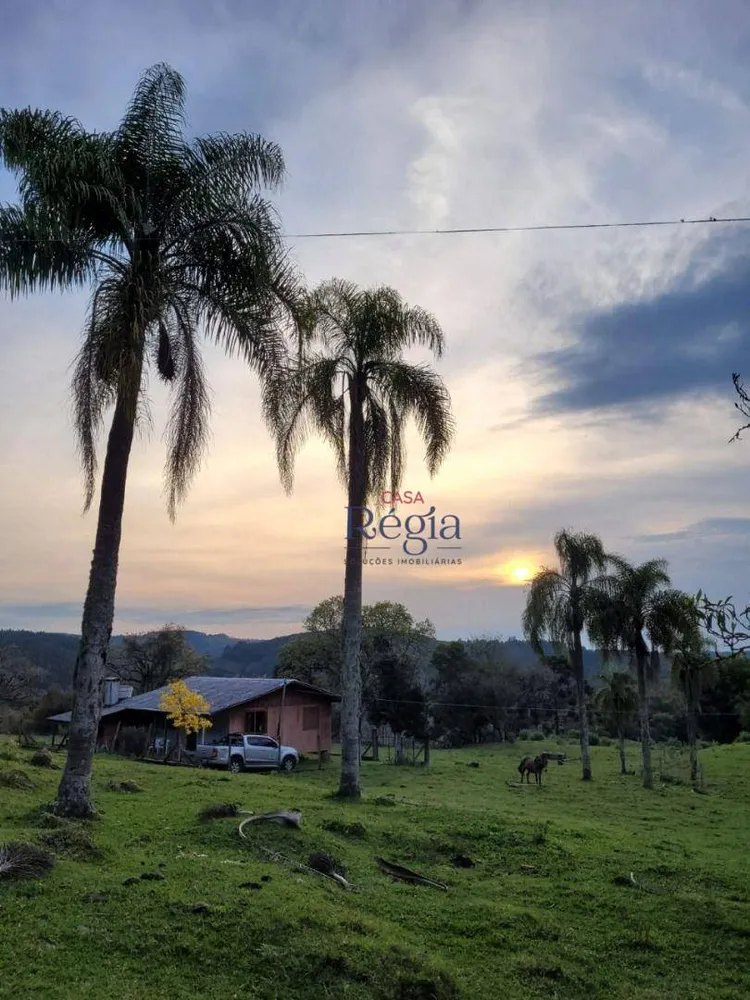 Sítio, 4 quartos, 25 hectares - Foto 8