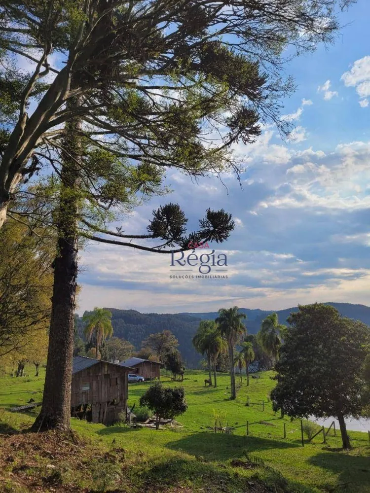 Sítio, 4 quartos, 25 hectares - Foto 1