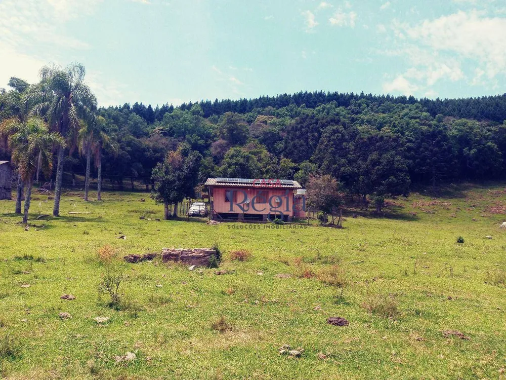 Sítio, 4 quartos, 25 hectares - Foto 4