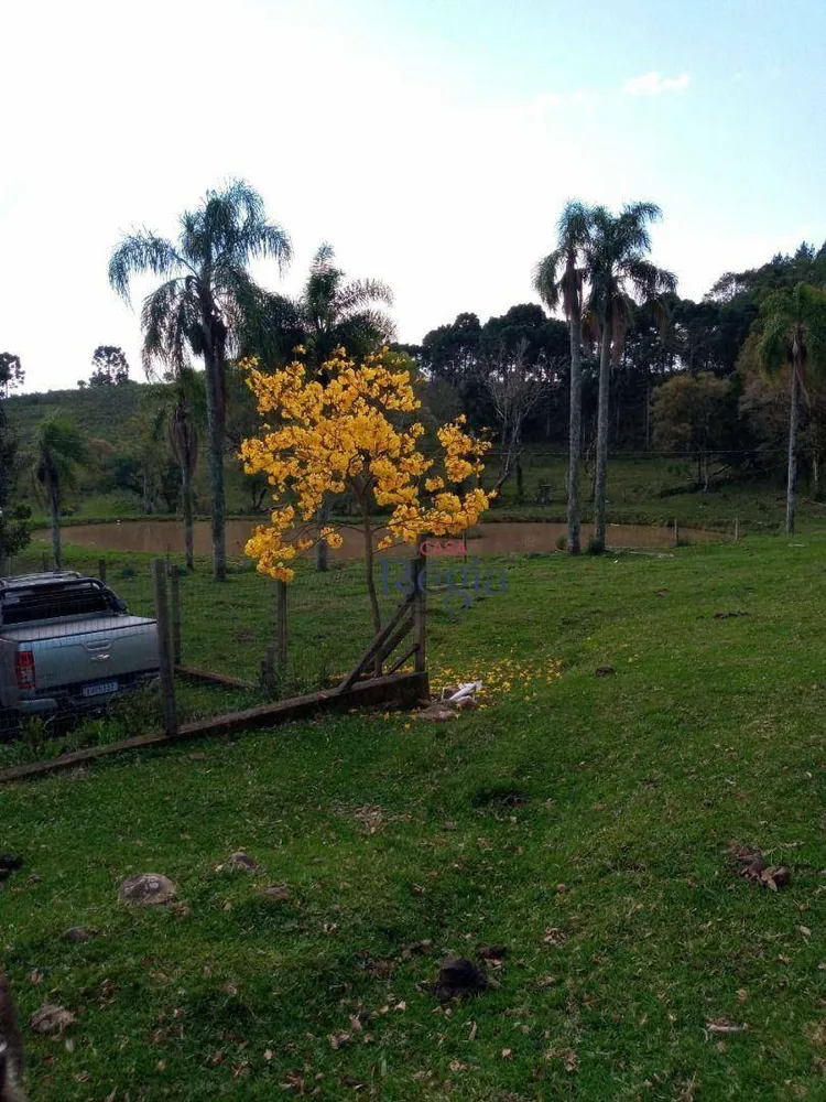 Sítio, 4 quartos, 25 hectares - Foto 12