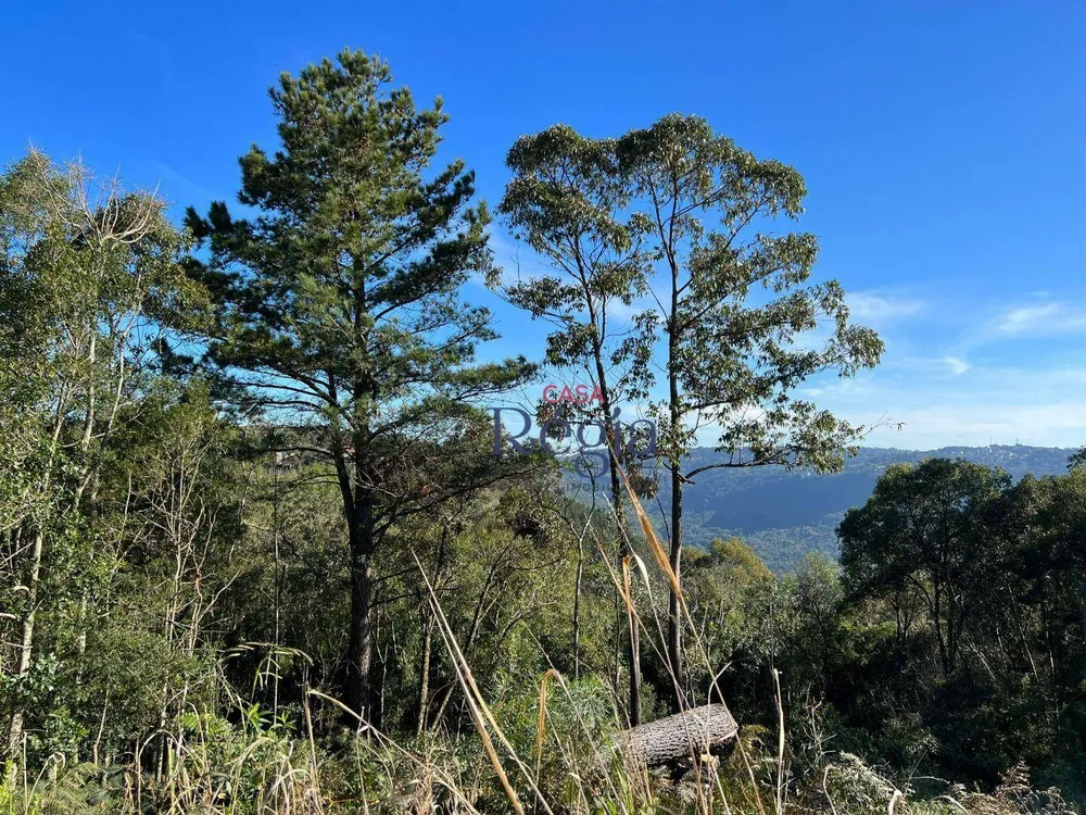 Loteamento e Condomínio, 250 m² - Foto 11