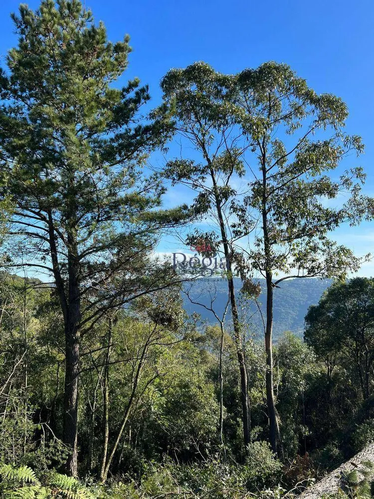 Loteamento e Condomínio, 250 m² - Foto 4