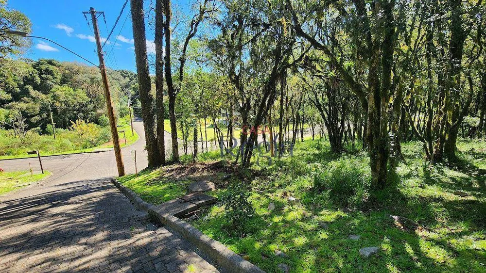 Loteamento e Condomínio, 914 m² - Foto 8