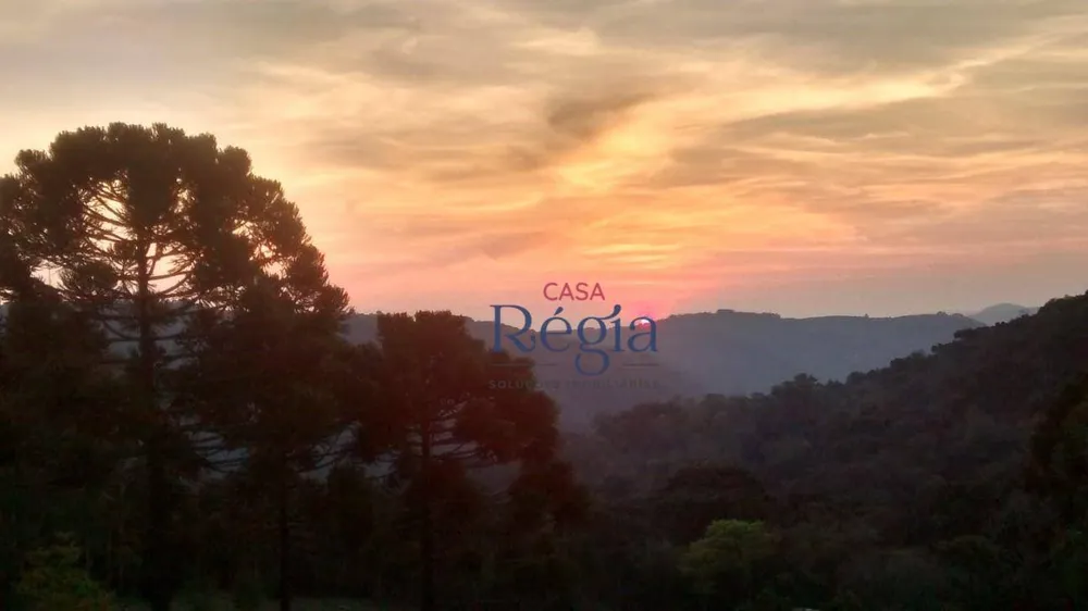 Terreno, 3 hectares - Foto 7