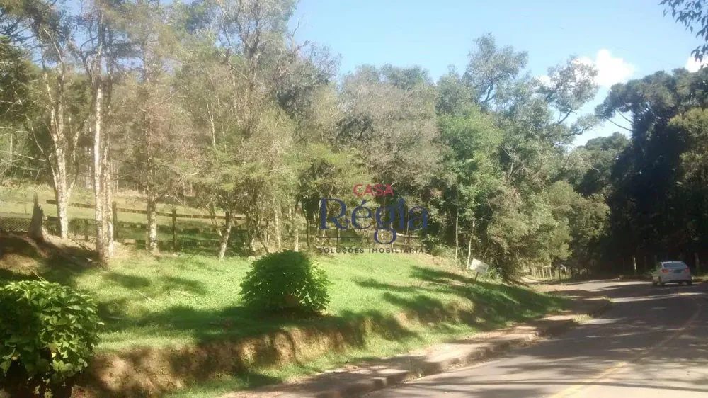Terreno, 3 hectares - Foto 3