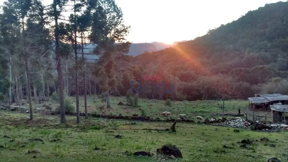 Terreno, 3 hectares - Foto 3
