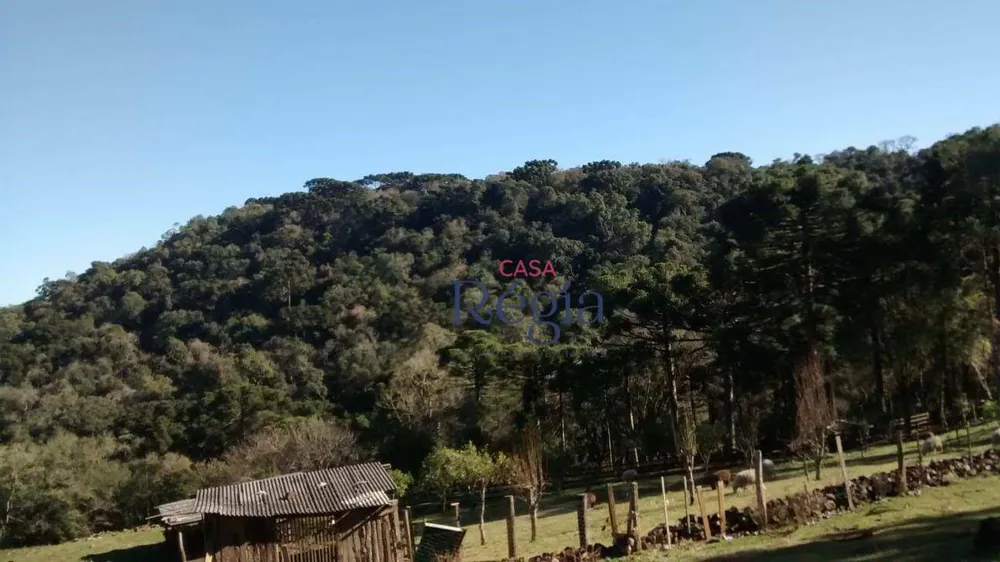 Terreno, 3 hectares - Foto 4