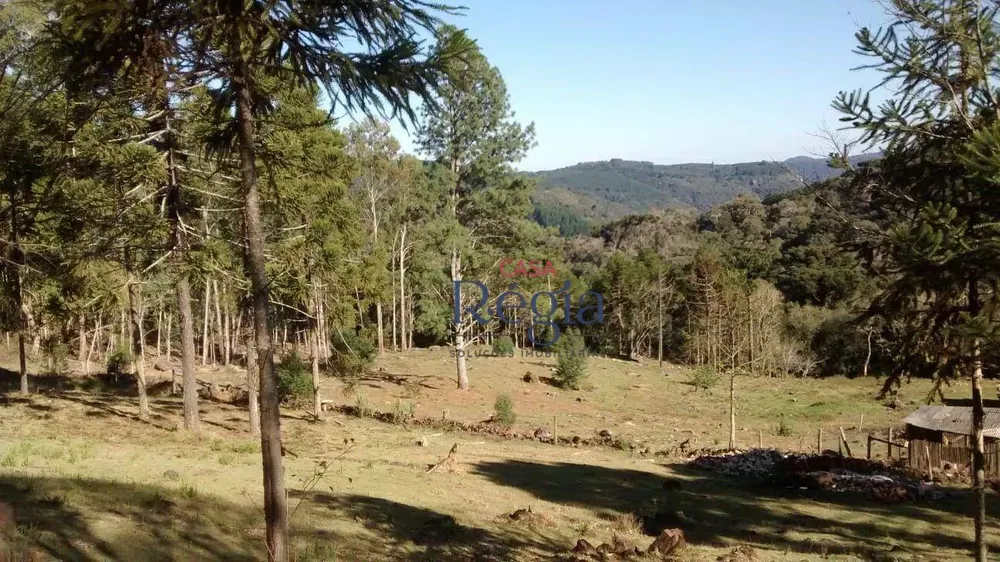 Terreno, 3 hectares - Foto 2