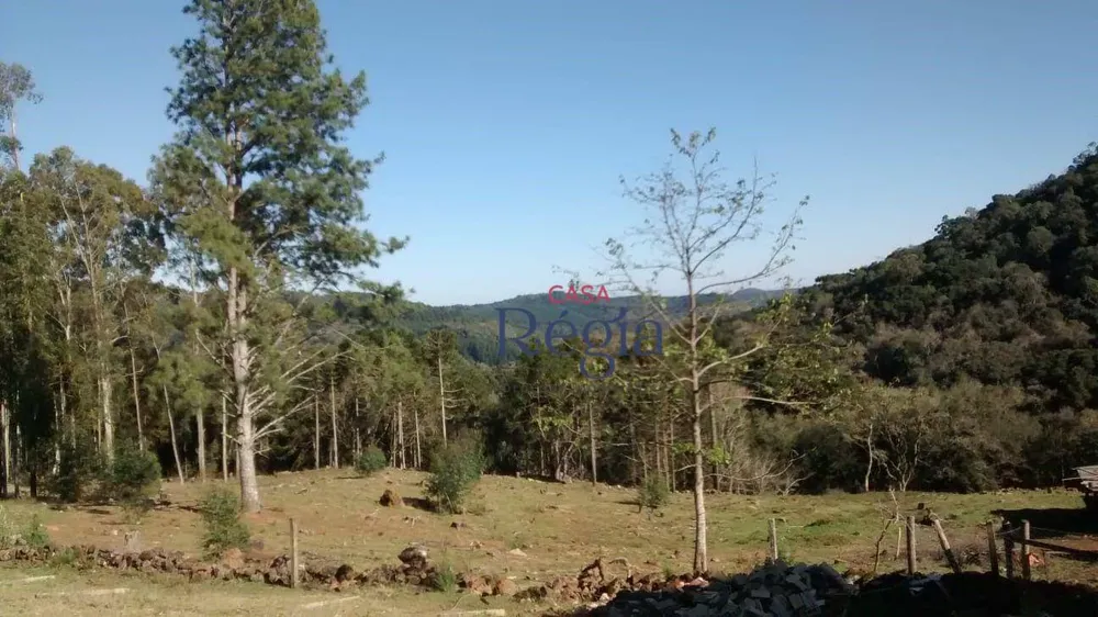 Terreno, 3 hectares - Foto 9