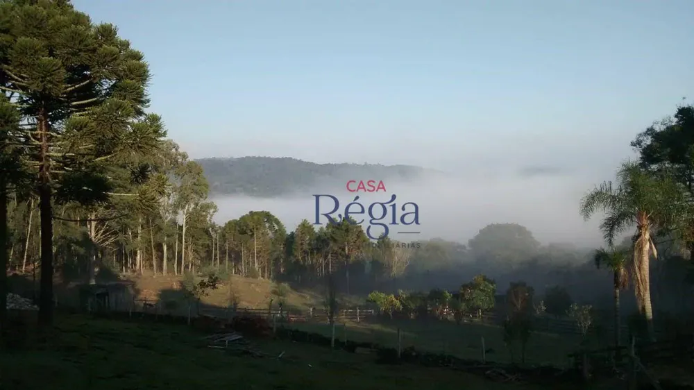 Terreno, 3 hectares - Foto 1
