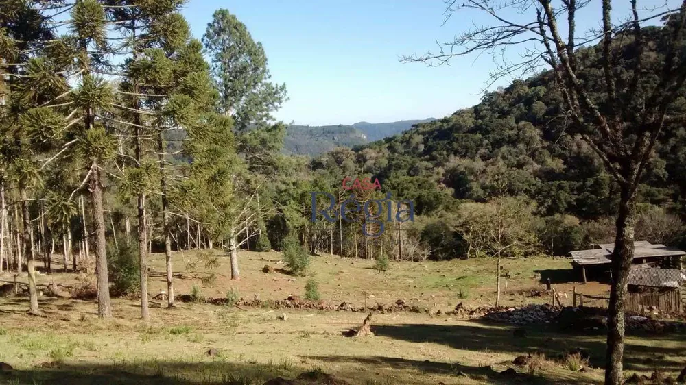 Terreno, 3 hectares - Foto 2