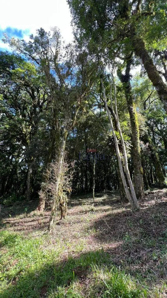 Loteamento e Condomínio, 602 m² - Foto 6