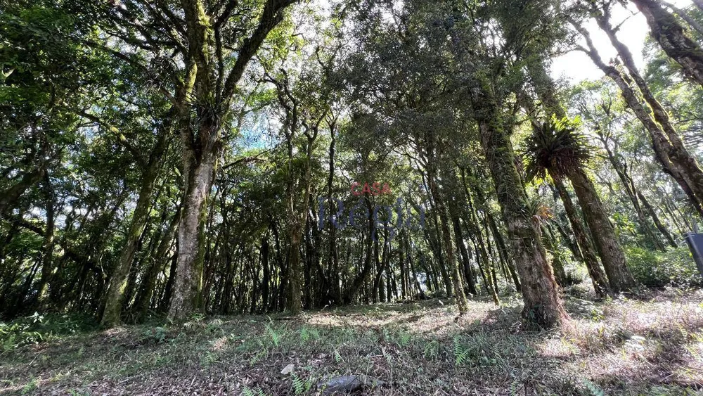 Loteamento e Condomínio, 602 m² - Foto 5