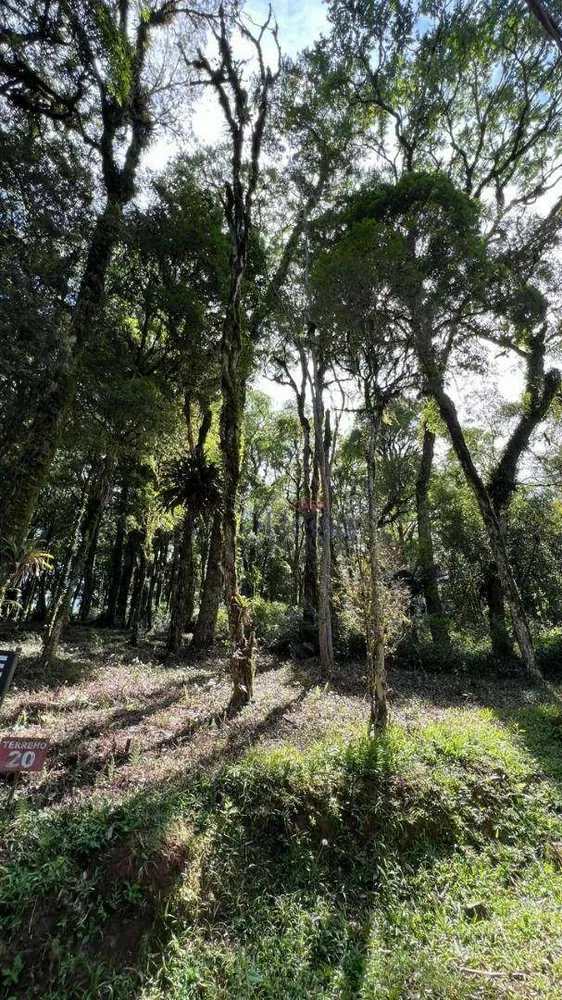 Loteamento e Condomínio, 602 m² - Foto 7