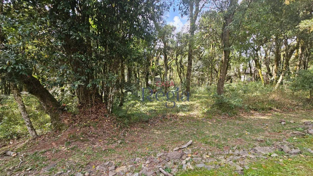 Loteamento e Condomínio, 605 m² - Foto 16