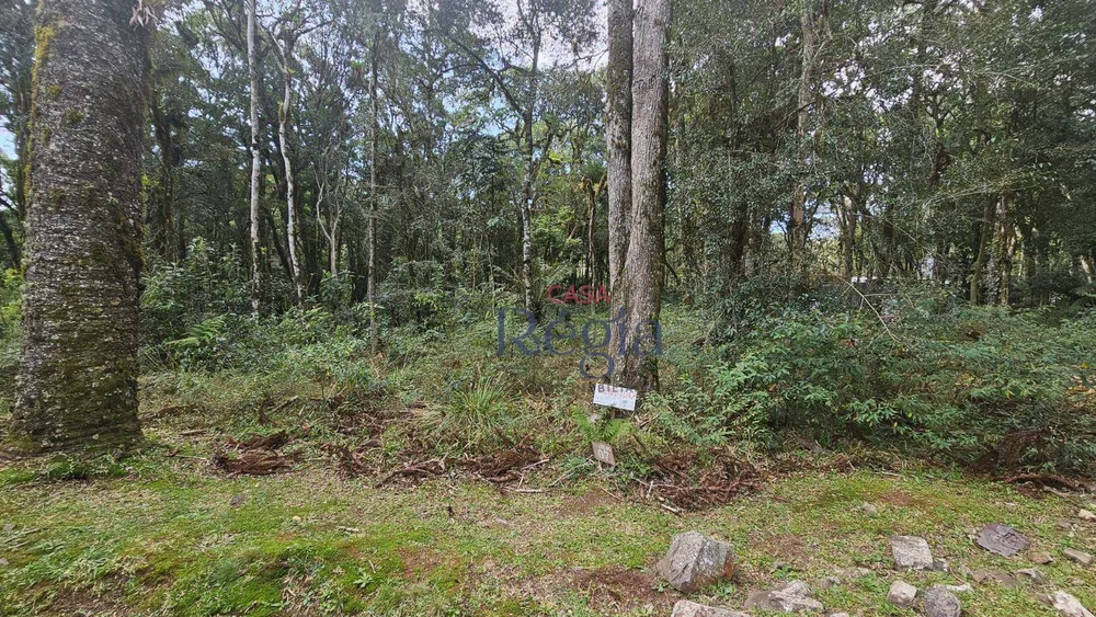 Loteamento e Condomínio, 605 m² - Foto 5
