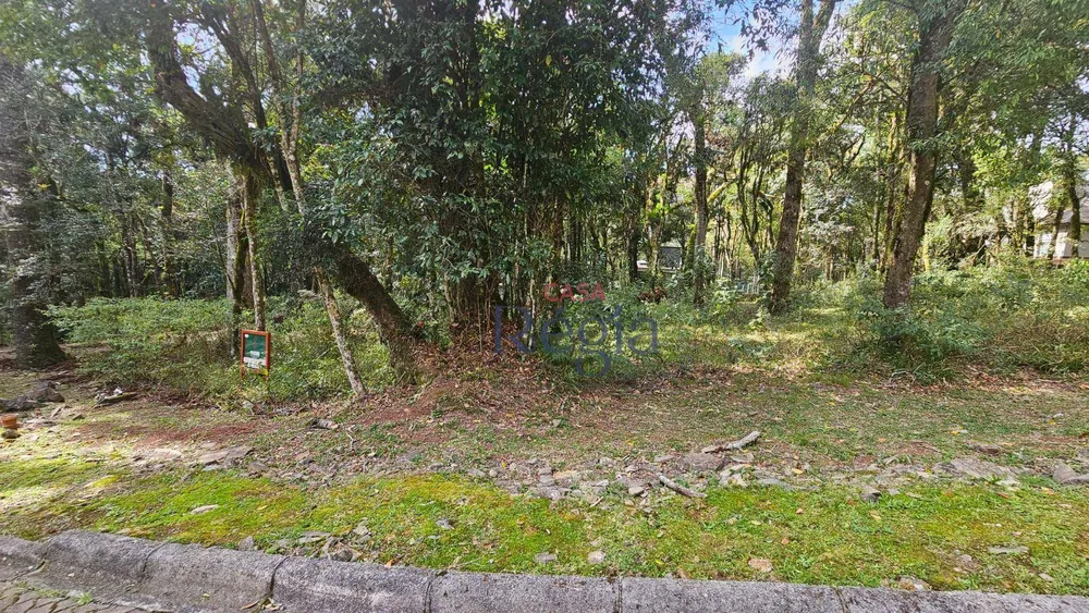 Loteamento e Condomínio, 605 m² - Foto 3