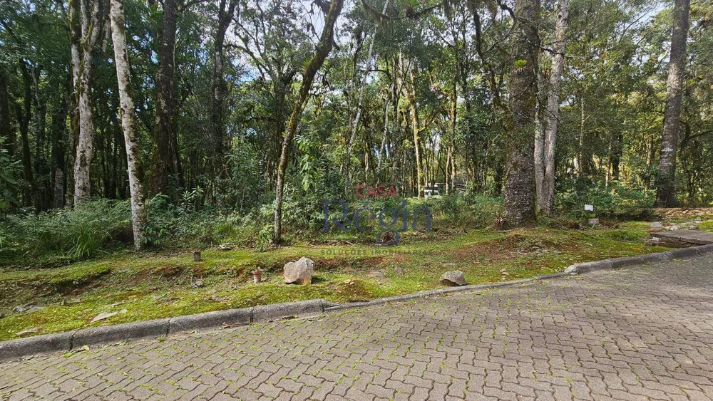 Loteamento e Condomínio, 605 m² - Foto 6