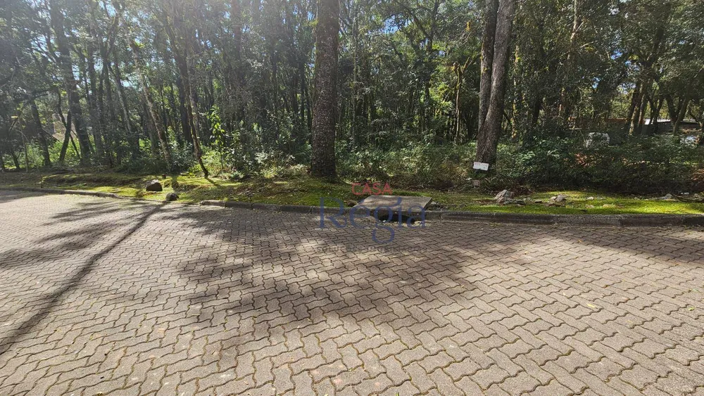 Loteamento e Condomínio, 605 m² - Foto 8