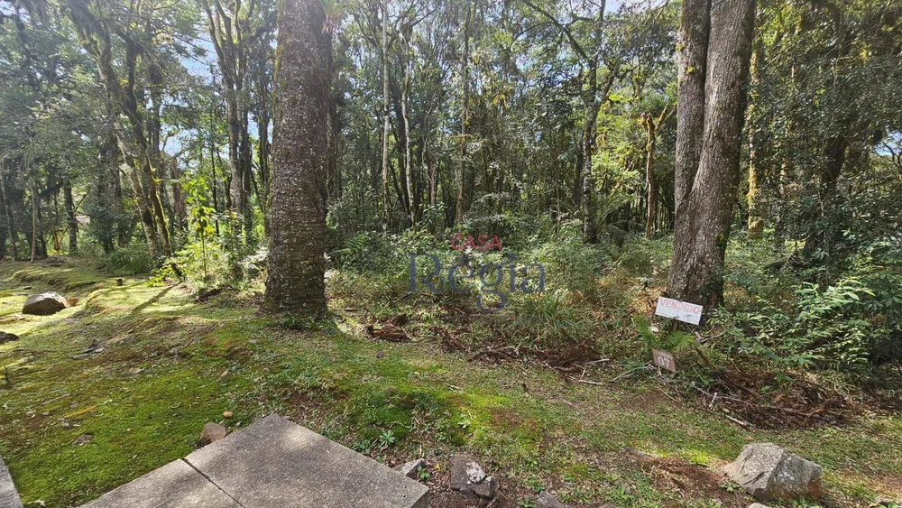 Loteamento e Condomínio, 605 m² - Foto 4